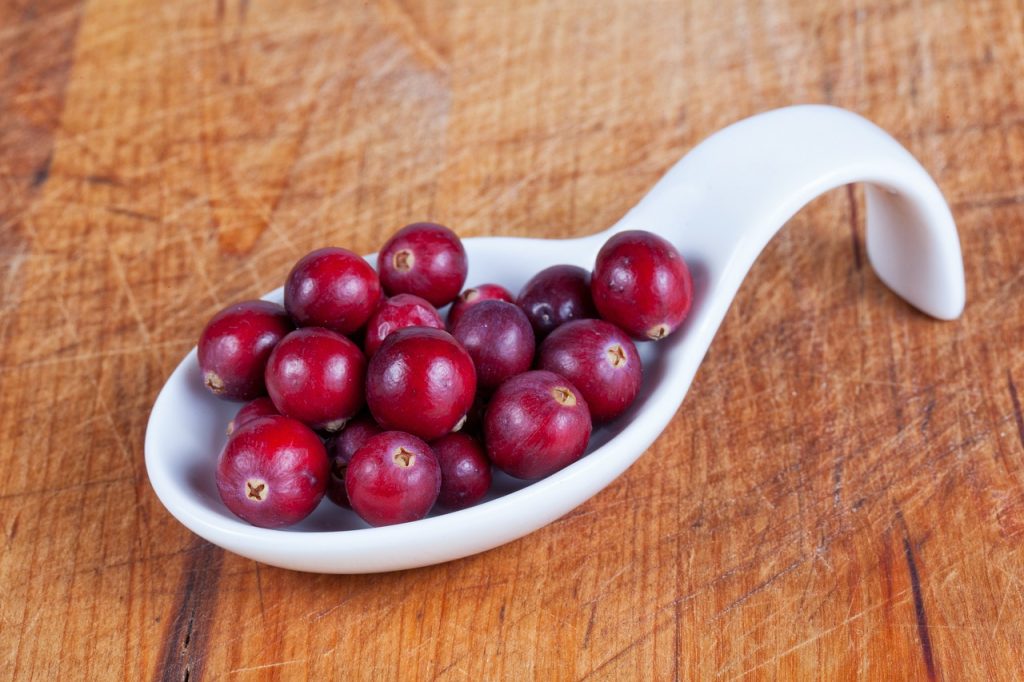 cranberry, berries, harvest-5675653.jpg